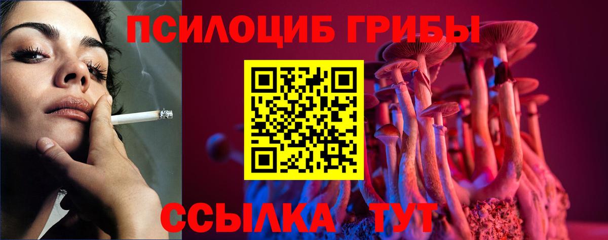 Галлюциногенные грибы мицелий Алексин
